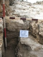Chronicle of the Archaeological Excavations in Romania, 2009 Campaign. Report no. 27, Hârşova, La Cetate<br /><a href='http://foto.cimec.ro/cronica/2009/sistematice\027/23-HARSOVA-S-III-Detaliu.jpg' target=_blank>Display the same picture in a new window</a>